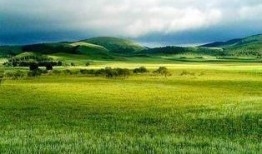 青草原国产,探寻神秘草原帝国的历史足迹