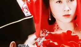 青青草国产插色屋,探寻国产动画的青春色彩与创意魅力