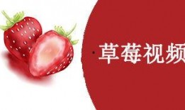 草莓国产视频,探寻本土草莓种植的魅力与风采