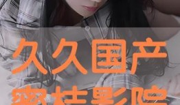 国产久久在线视频